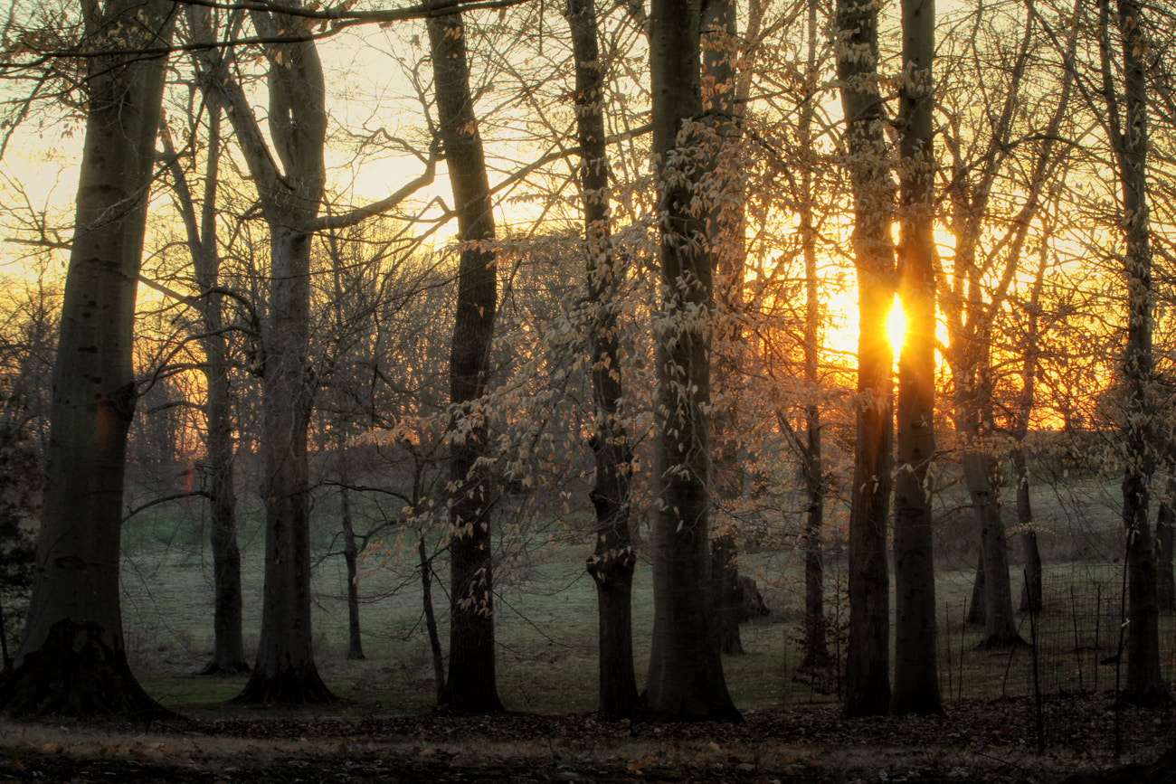 Canon EF 70-200mm F2.8L IS II USM sample photo. Spring sunset ii photography