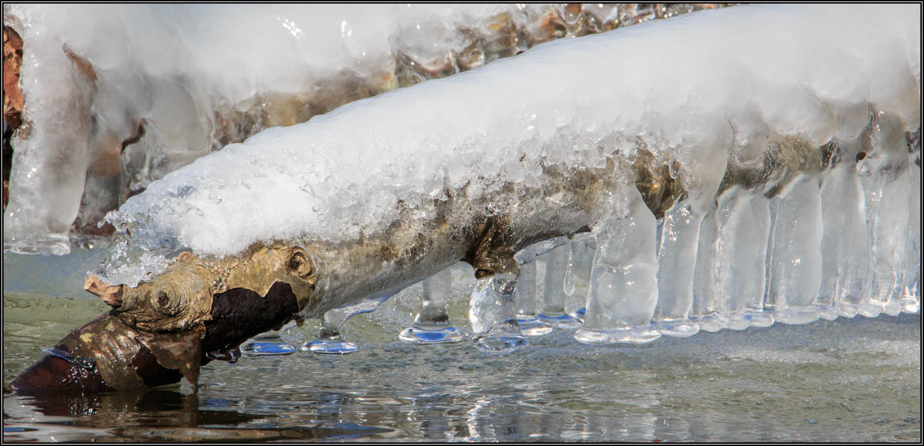 Tamron SP 150-600mm F5-6.3 Di VC USD sample photo. (c)wmh_2017_02_03_3690 icicles on fallen log.jpg photography