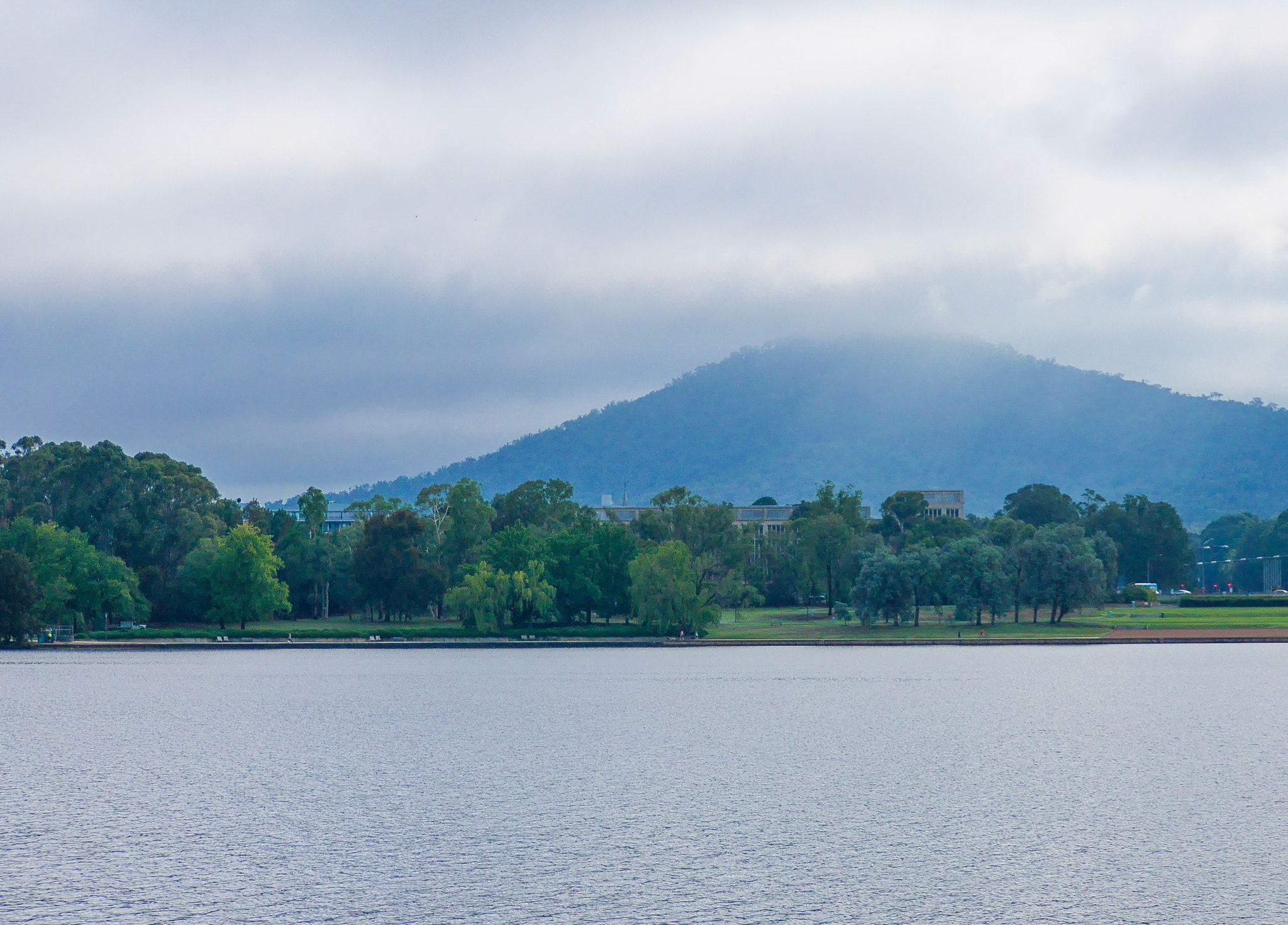 Panasonic DMC-GM1S sample photo. Early morning autumn fog - canberra, australia photography