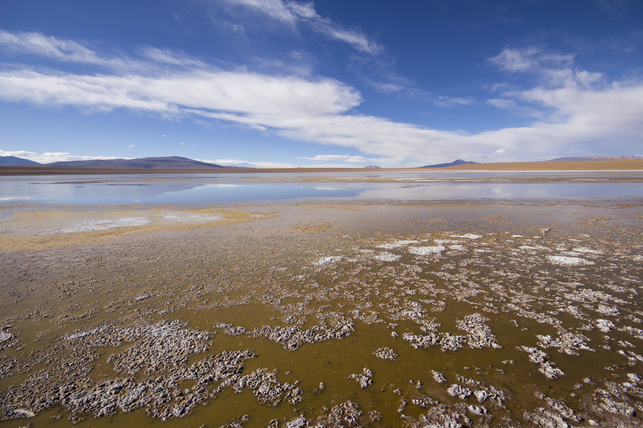 Sigma 10-20mm F4-5.6 EX DC HSM sample photo. Bolivia_chile photography