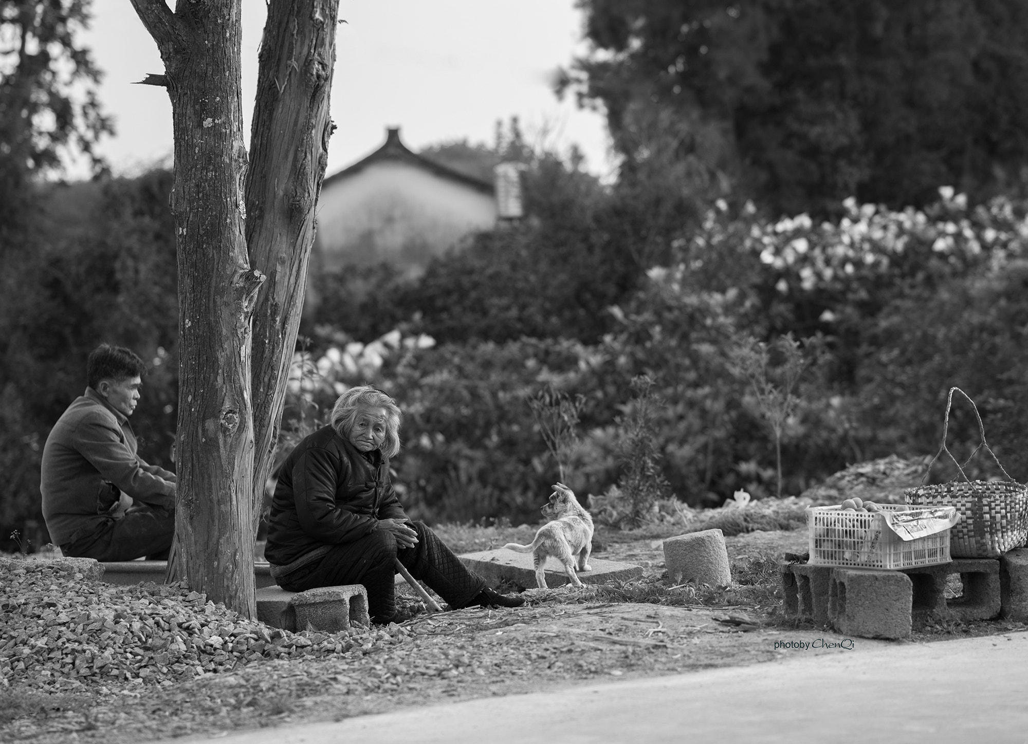 ZEISS Batis 85mm F1.8 sample photo