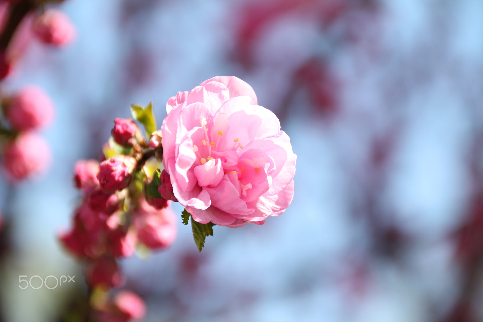 Canon EF 28mm F2.8 sample photo. 你的照片 photography