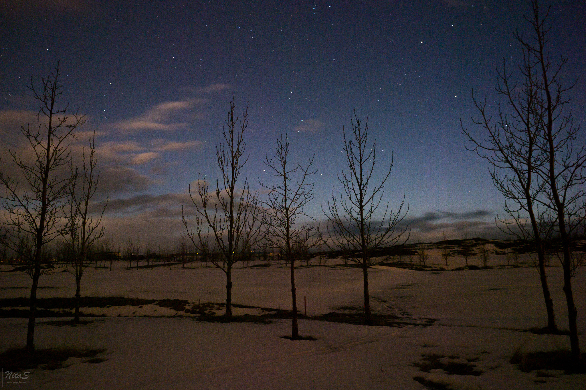 Olympus OM-D E-M1 Mark II + Olympus M.Zuiko Digital ED 12-40mm F2.8 Pro sample photo. Under the stars photography