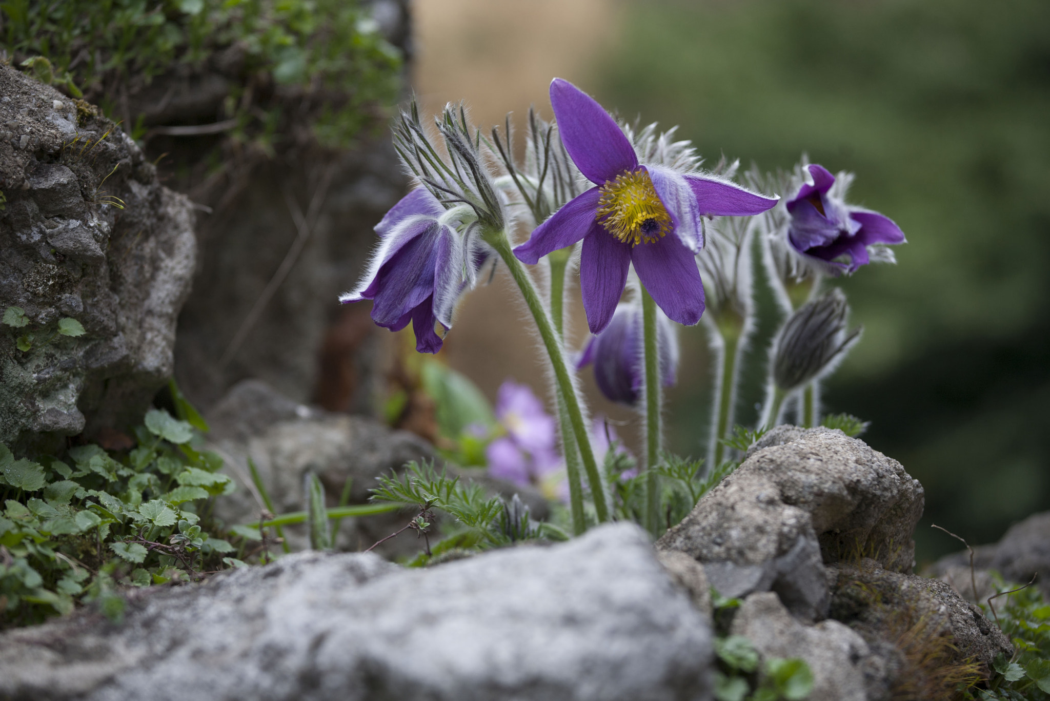 Canon EOS 5D + Canon EF 70-200mm F4L IS USM sample photo. Nobody's perfect photography