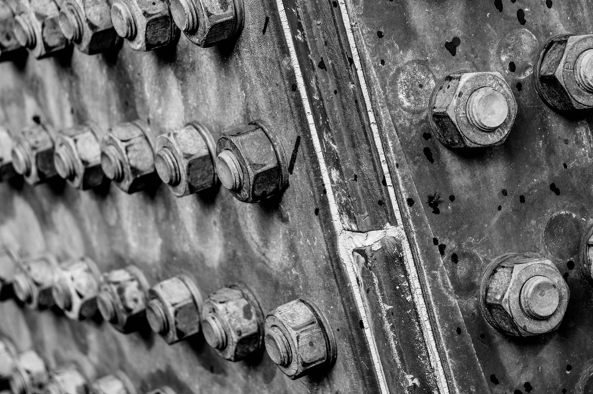 Sony DT 18-135mm F3.5-5.6 SAM sample photo. Untitled photography