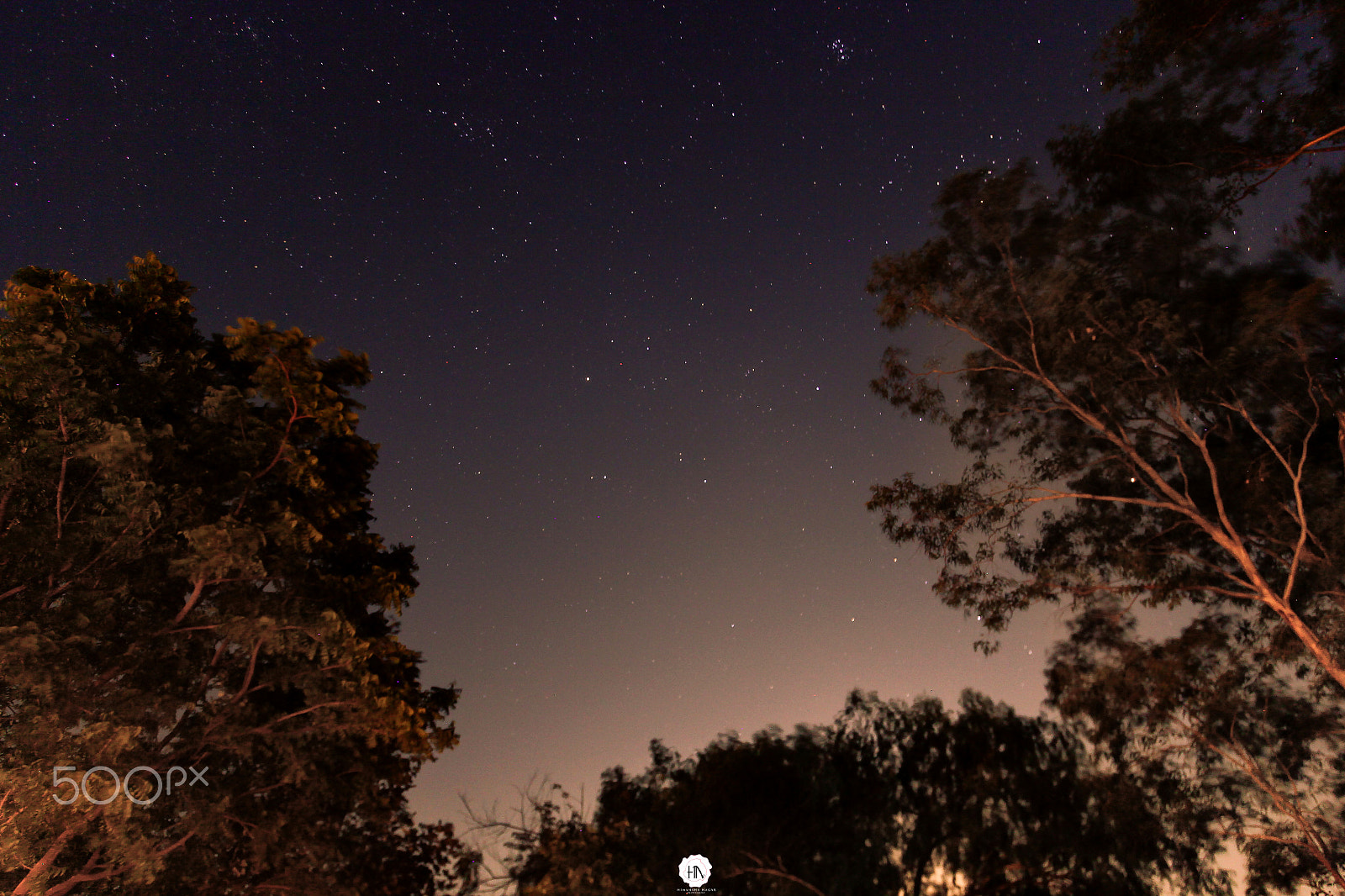 Canon EF-S 10-22mm F3.5-4.5 USM sample photo. Star grazing photography