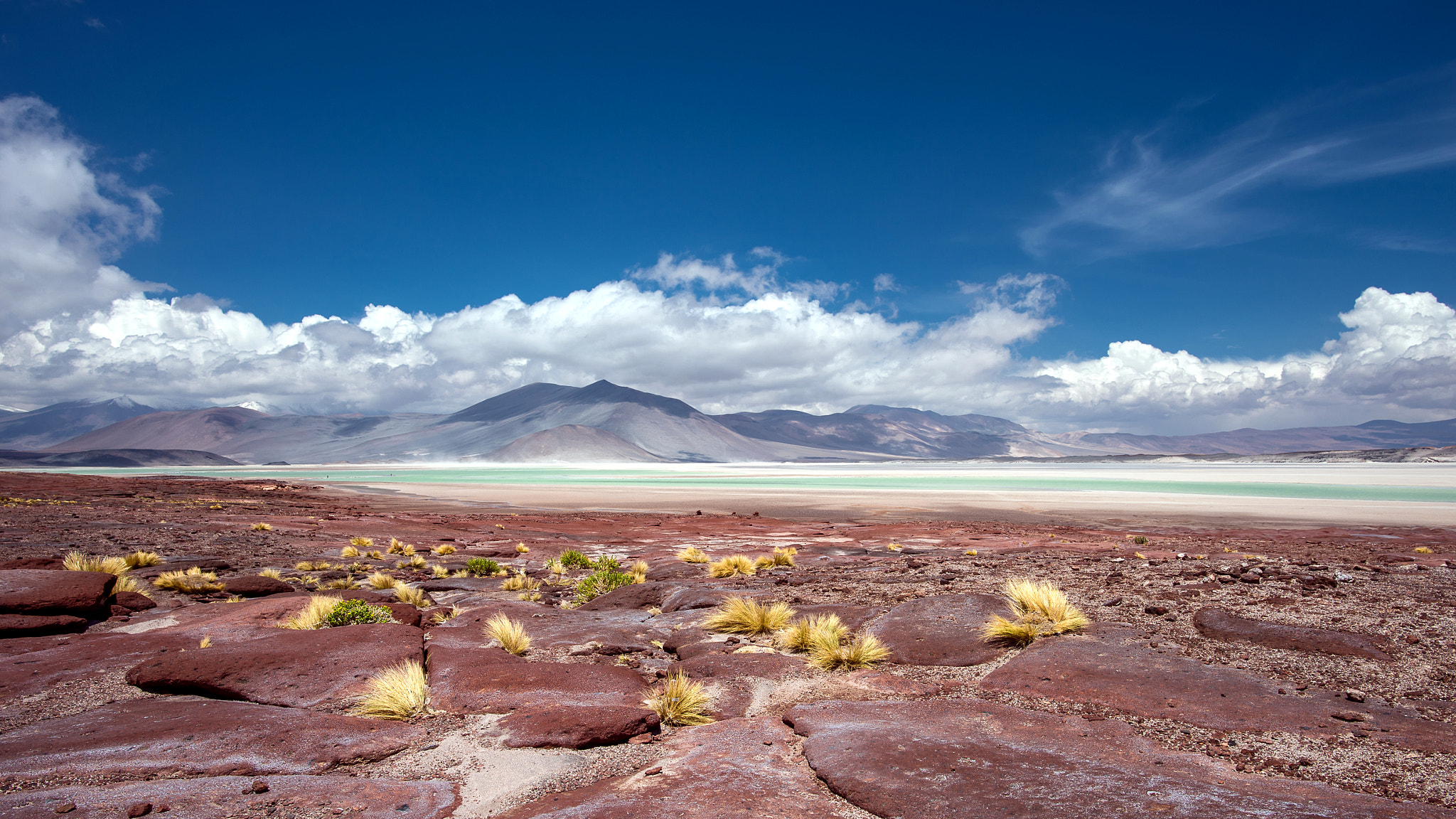 Nikon D4 sample photo. Beautiful altiplano photography