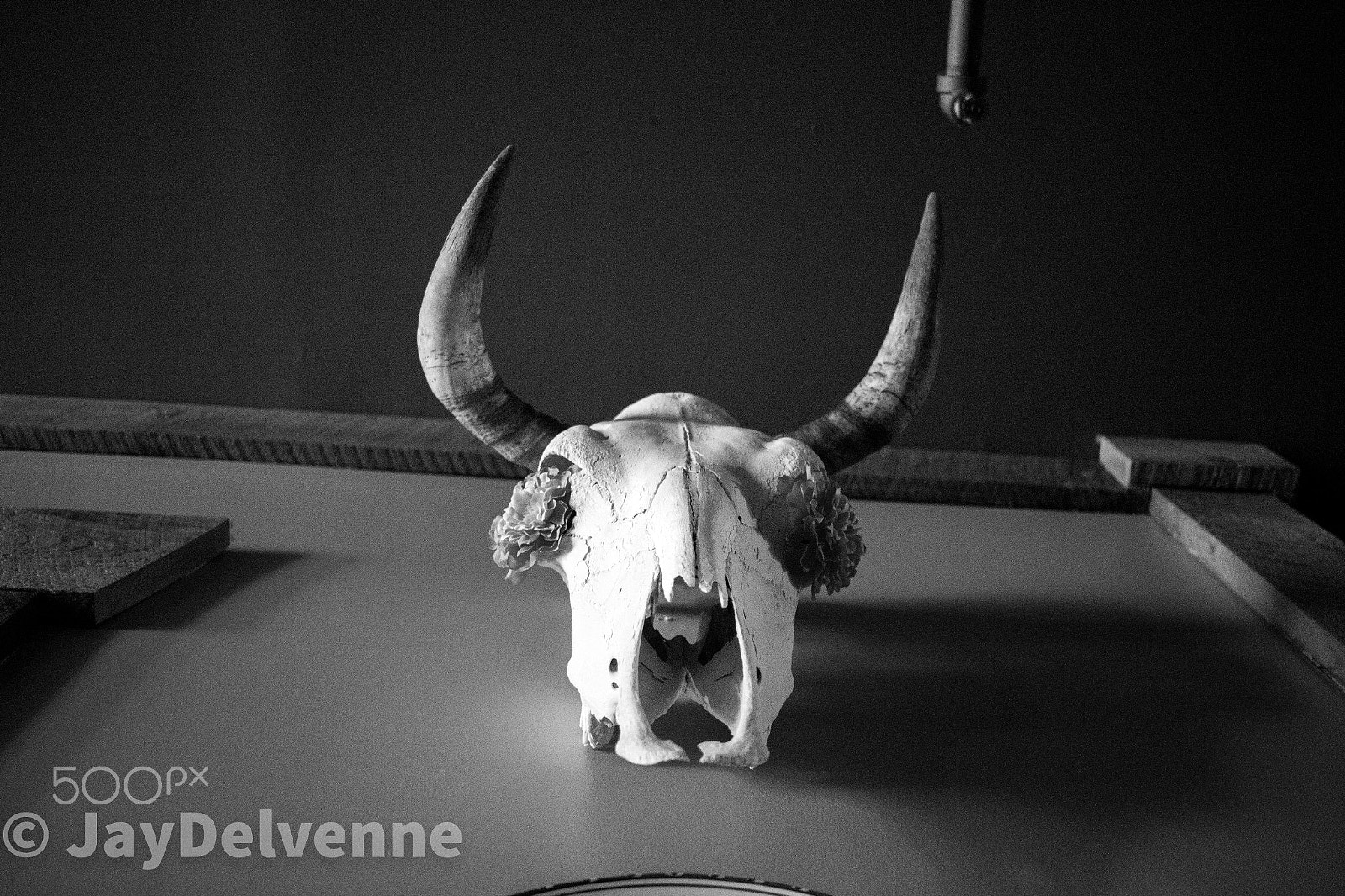 Canon EF-S 24mm F2.8 STM sample photo. Horned skull photography