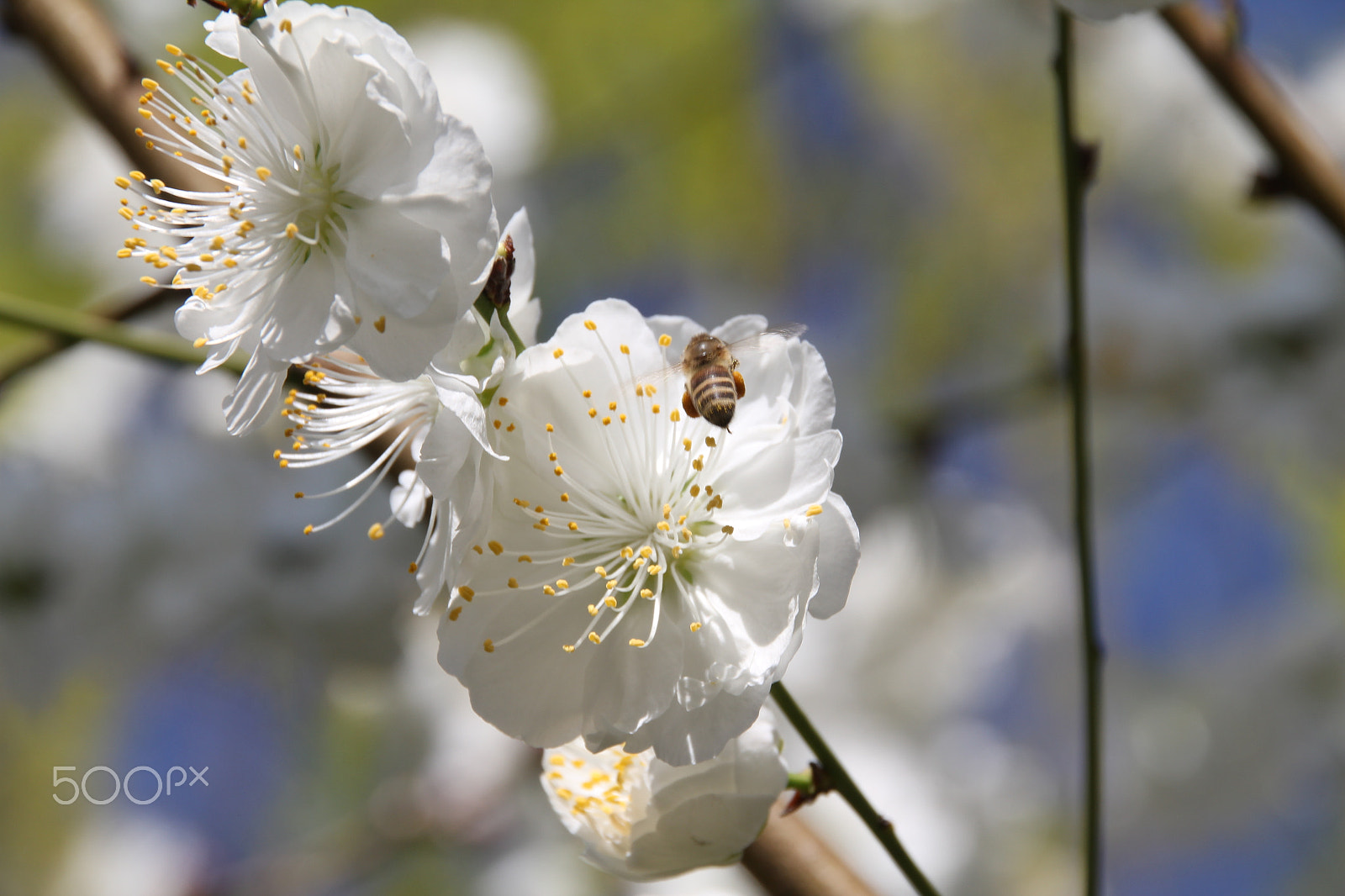 Canon EF 28mm F2.8 sample photo. 你的照片 photography