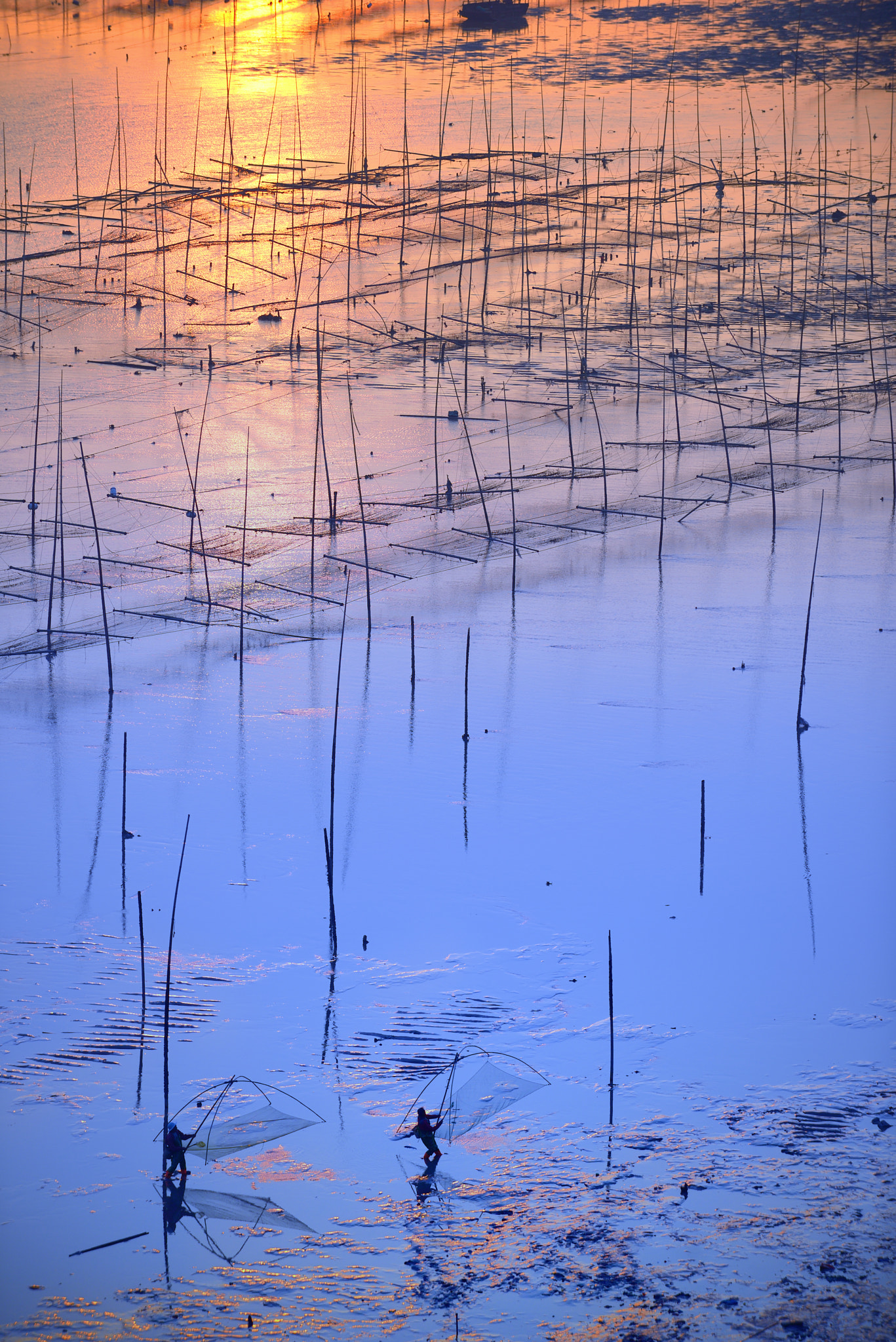 AF-S Zoom-Nikkor 80-200mm f/2.8D IF-ED sample photo