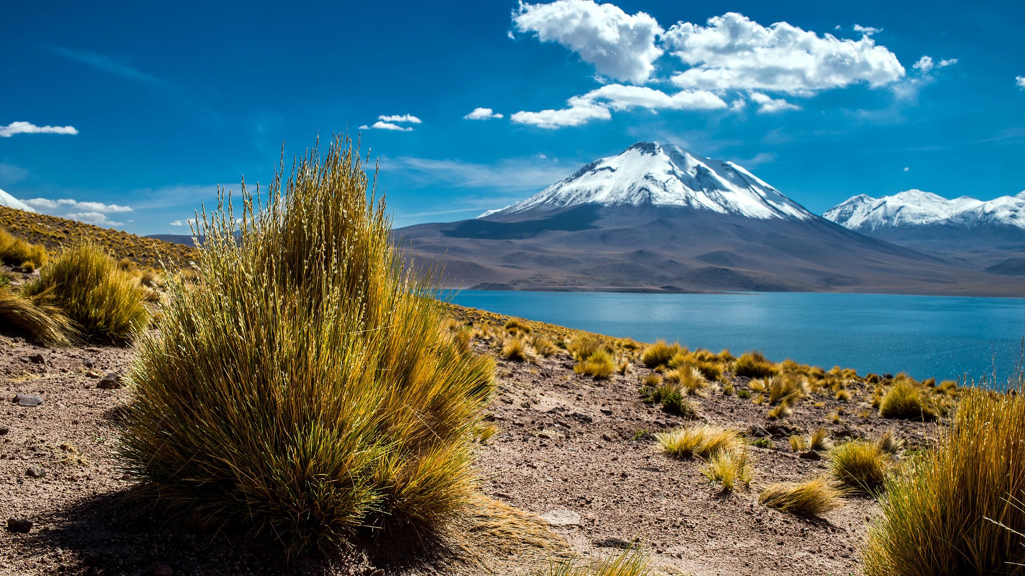 Nikon D4 + Nikon AF-S Nikkor 35mm F1.8G ED sample photo. Amazing laguna miscanti photography