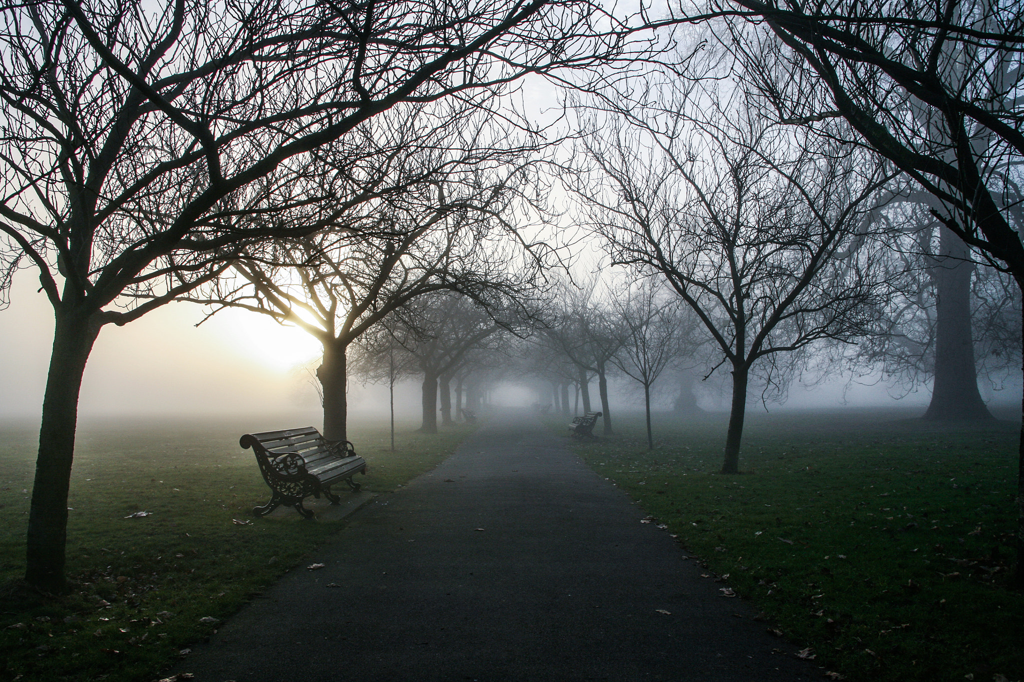 Canon EOS 5D + Canon EF 28-135mm F3.5-5.6 IS USM sample photo. Greenwich in the fog photography