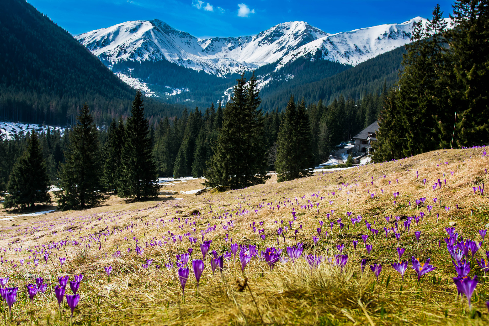 Nikon D7100 + Sigma 18-35mm F1.8 DC HSM Art sample photo. Dsc photography