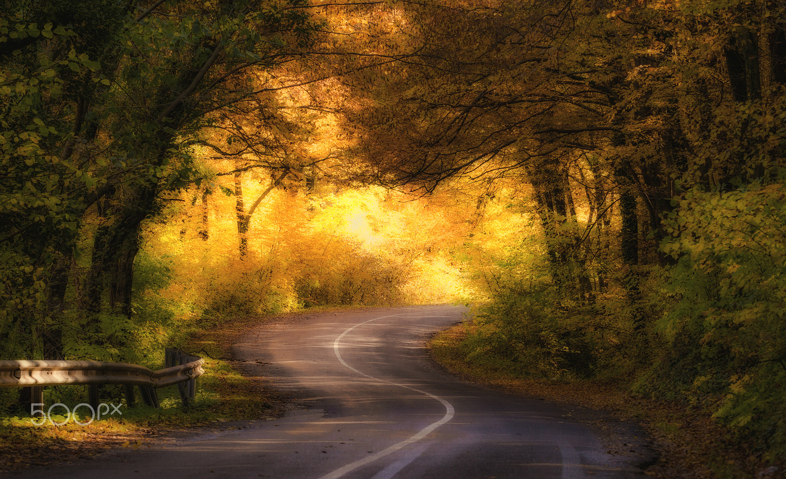 Nikon AF-S Nikkor 70-200mm F4G ED VR sample photo. Autumn road photography