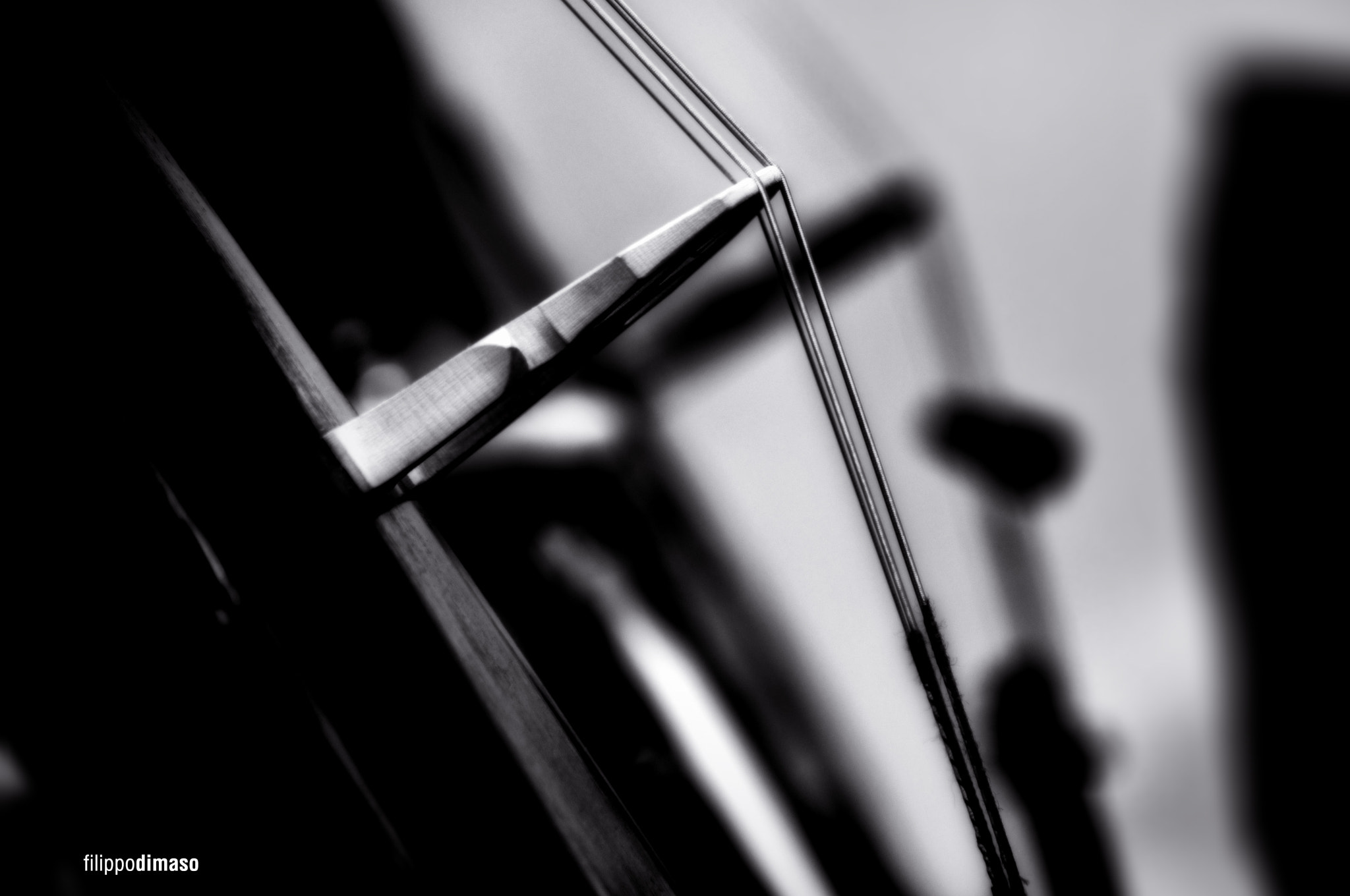 Nikon D90 sample photo. Cello bridge photography