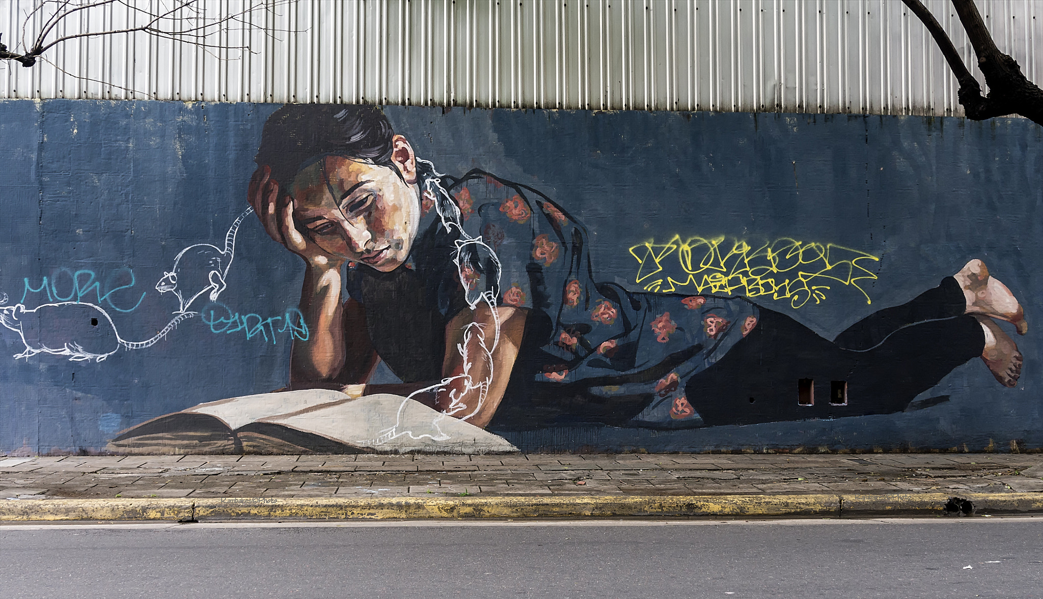 Olympus OM-D E-M5 sample photo. El lector photography