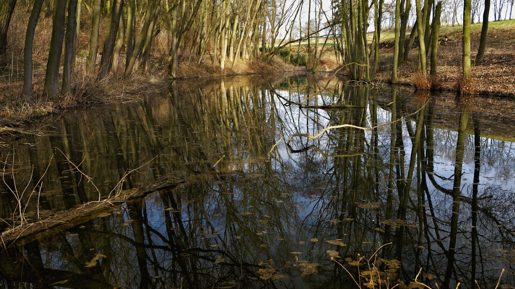 Panasonic Lumix DMC-G2 sample photo. Somewhere around prague... photography