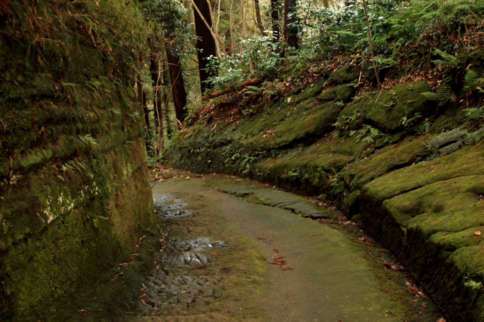 Canon EF 28-105mm f/3.5-4.5 USM sample photo. A path through the rocks photography