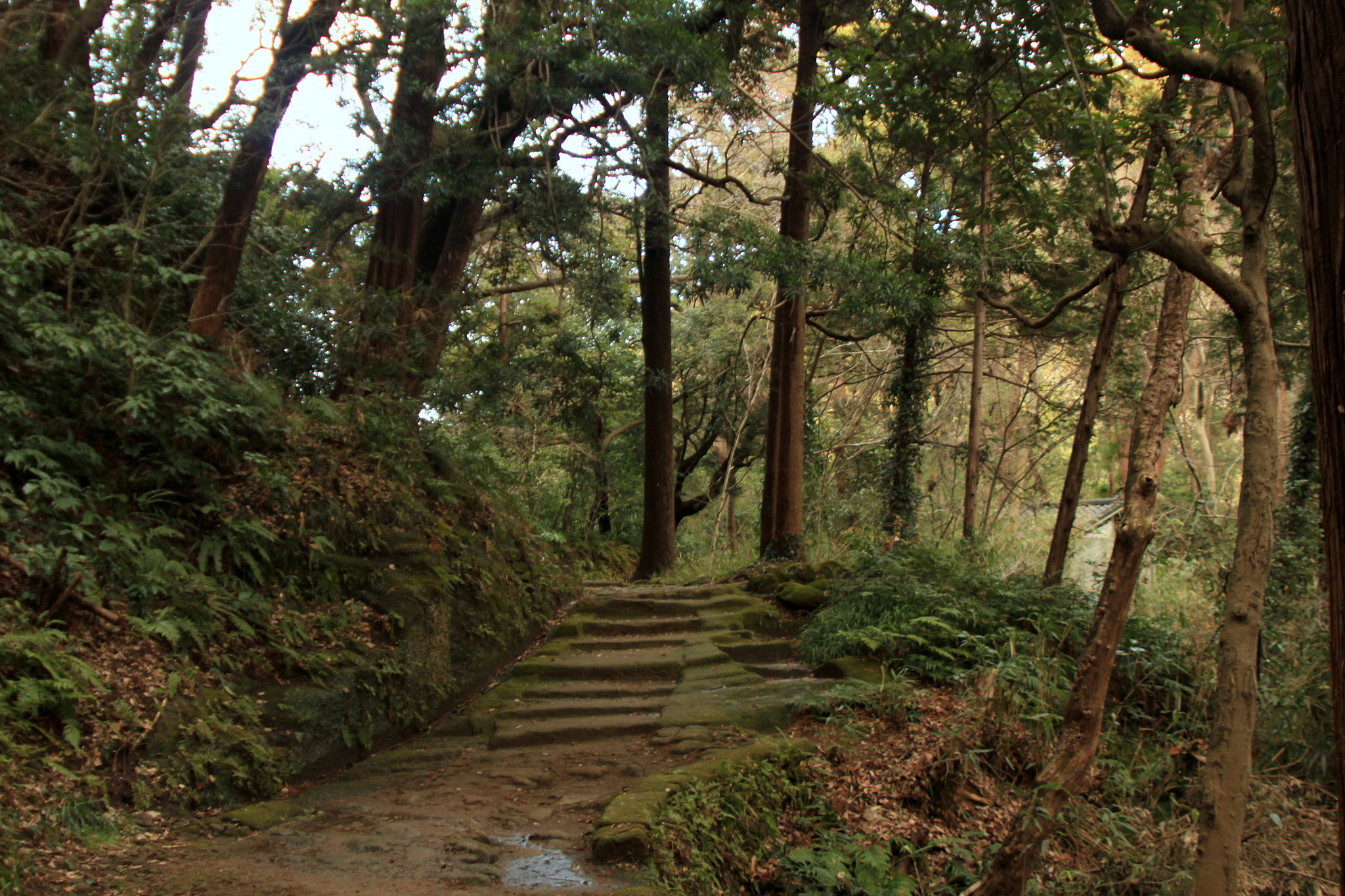 Canon EF 28-105mm f/3.5-4.5 USM sample photo. Natural steps. photography