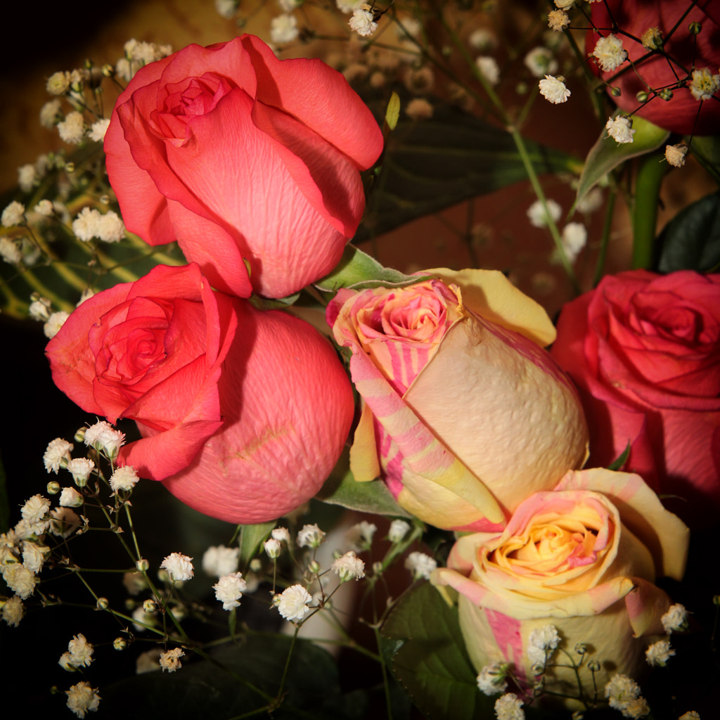 bouquet of roses by Nick Patrin on 500px.com