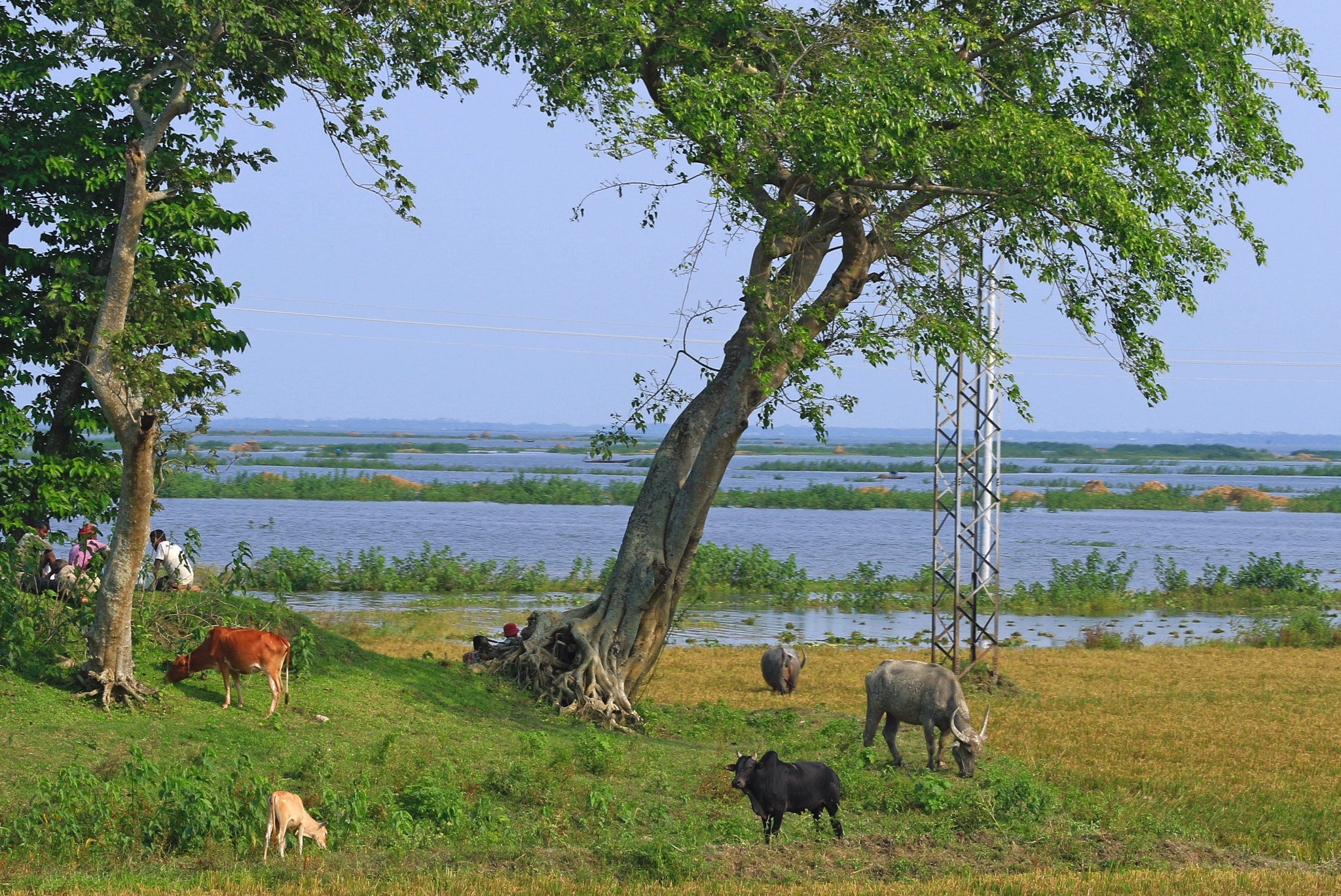 Canon EF 70-200mm F4L USM sample photo. Beautiful bangladesh photography
