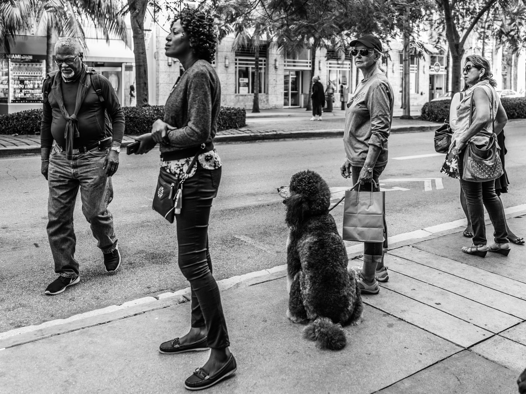 Sony Cyber-shot DSC-RX1R II sample photo. People of miami - at the bus stop... photography