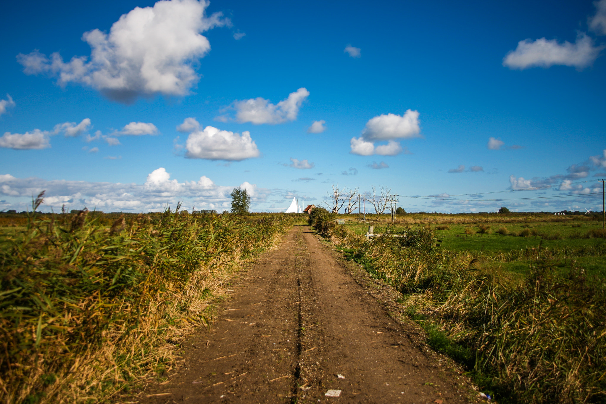 Canon EOS 5D + Canon EF 28-135mm F3.5-5.6 IS USM sample photo. Distant sail on the norfolk broads photography