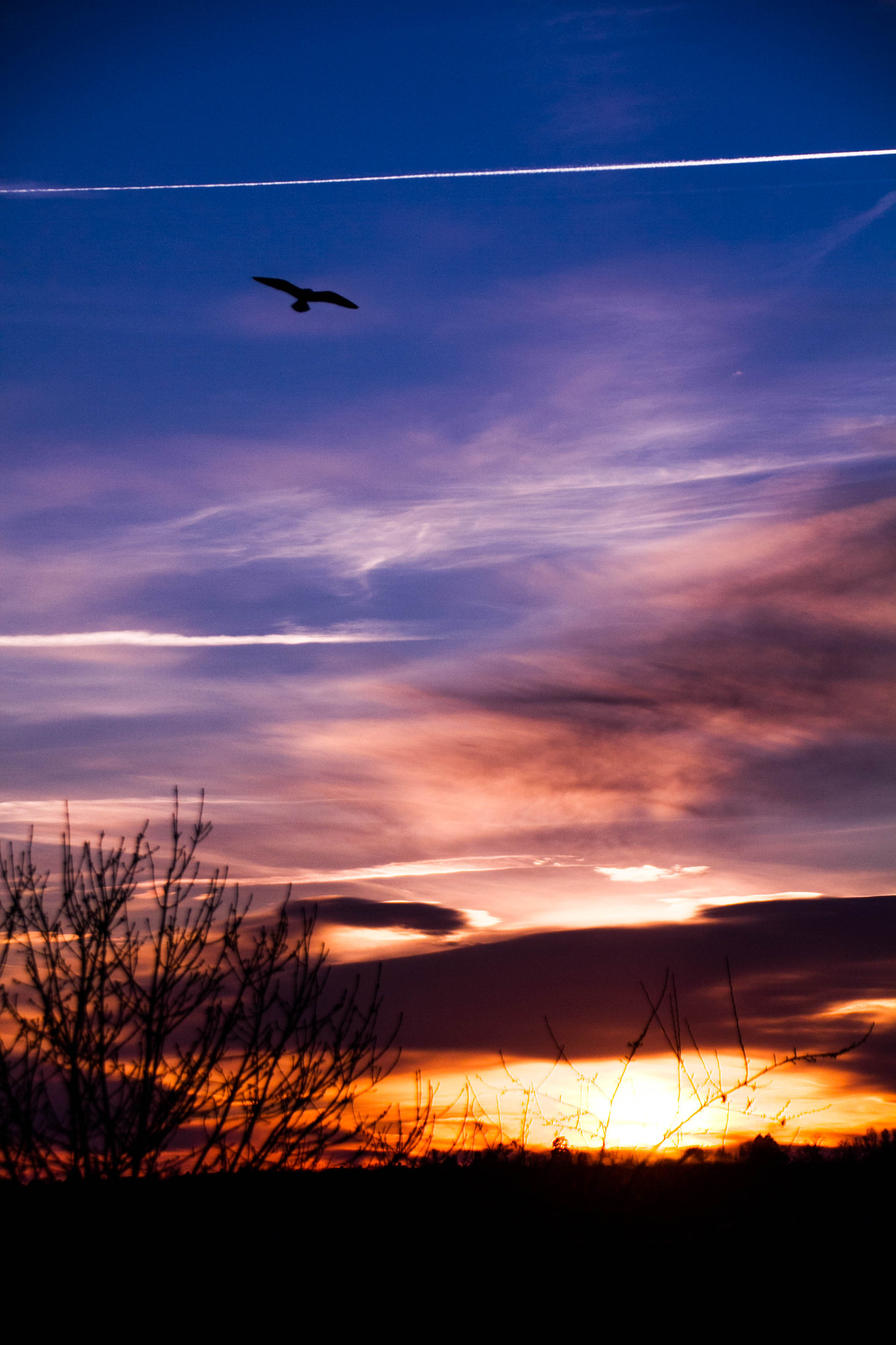Canon EF 75-300mm F4.0-5.6 IS USM sample photo. Spring sunset photography