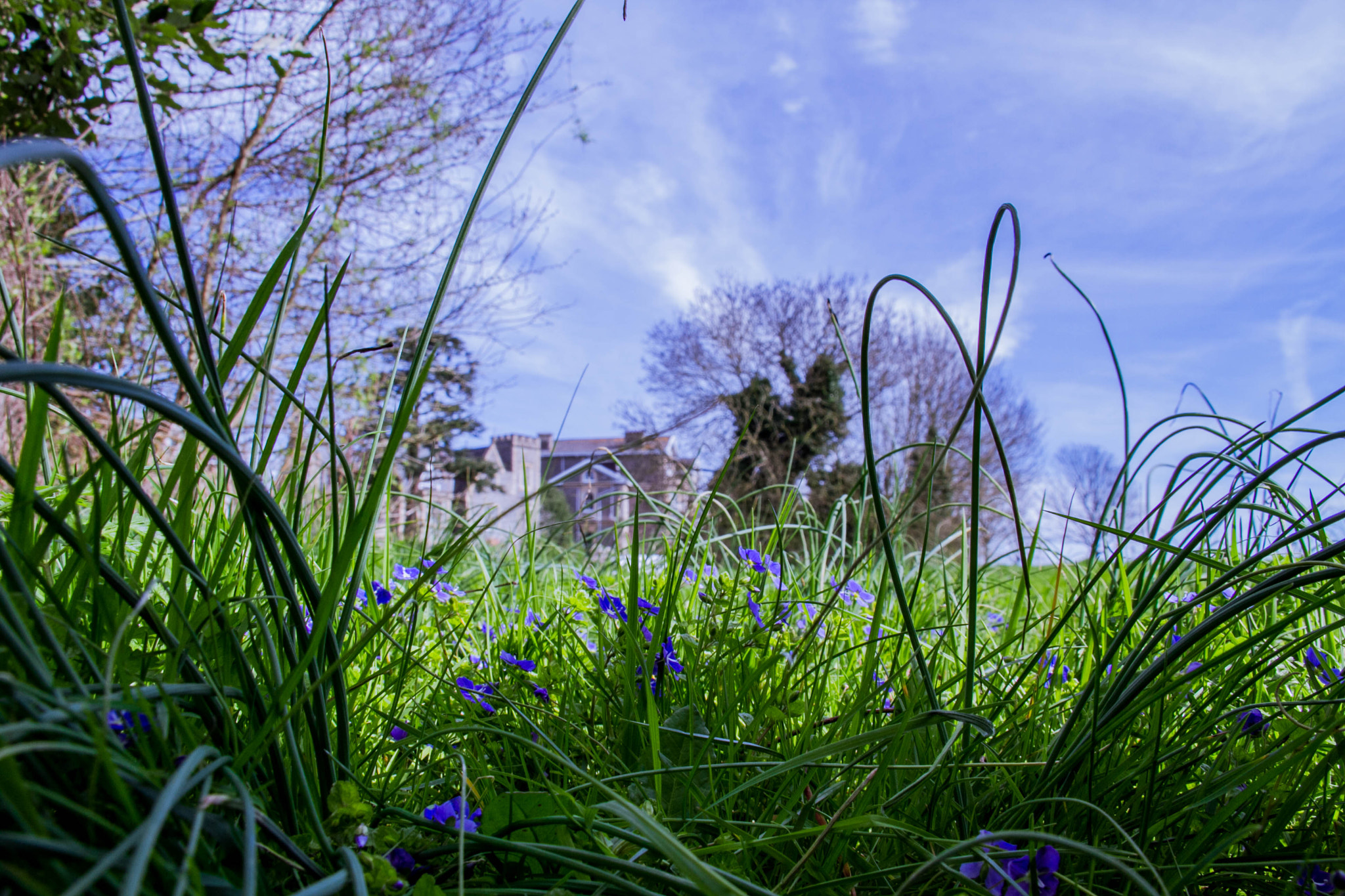 Canon EF 75-300mm F4.0-5.6 IS USM sample photo. Spring sprang photography