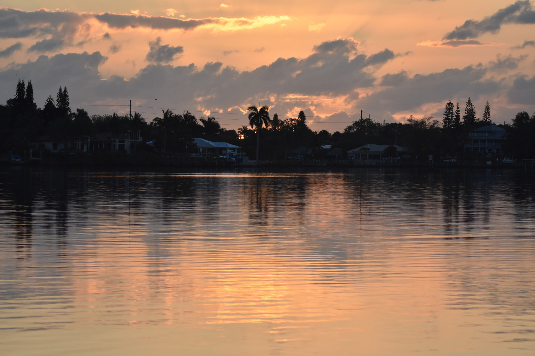 Nikon D3400 + Tamron SP 150-600mm F5-6.3 Di VC USD sample photo. Sunrise 032717 on south fork st lucie river photography