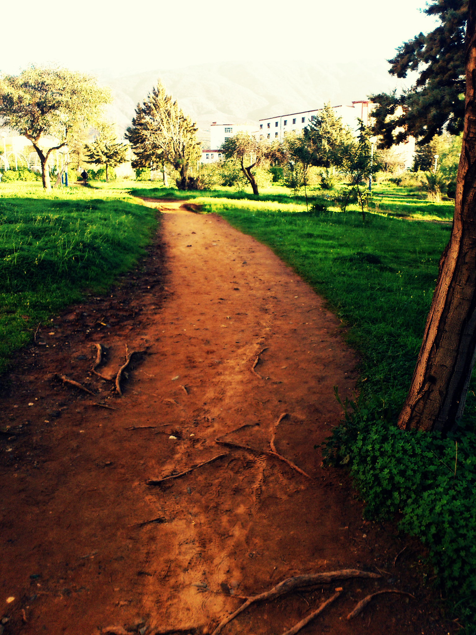 Sony Ericsson Xperia arc S sample photo. To the university city photography