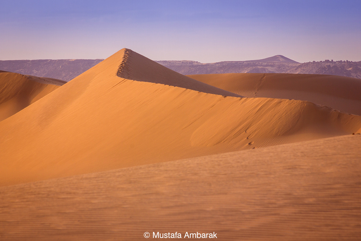 Canon EOS 550D (EOS Rebel T2i / EOS Kiss X4) sample photo. Desert of ghat photography