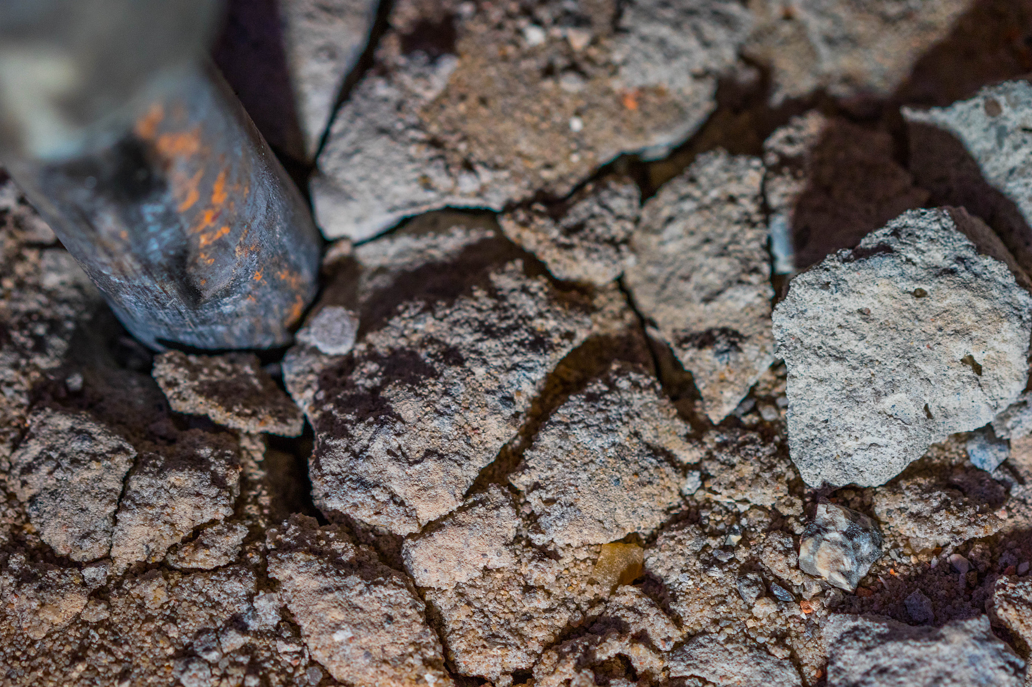 Canon EF 100mm F2.8 Macro USM sample photo. Raw photography
