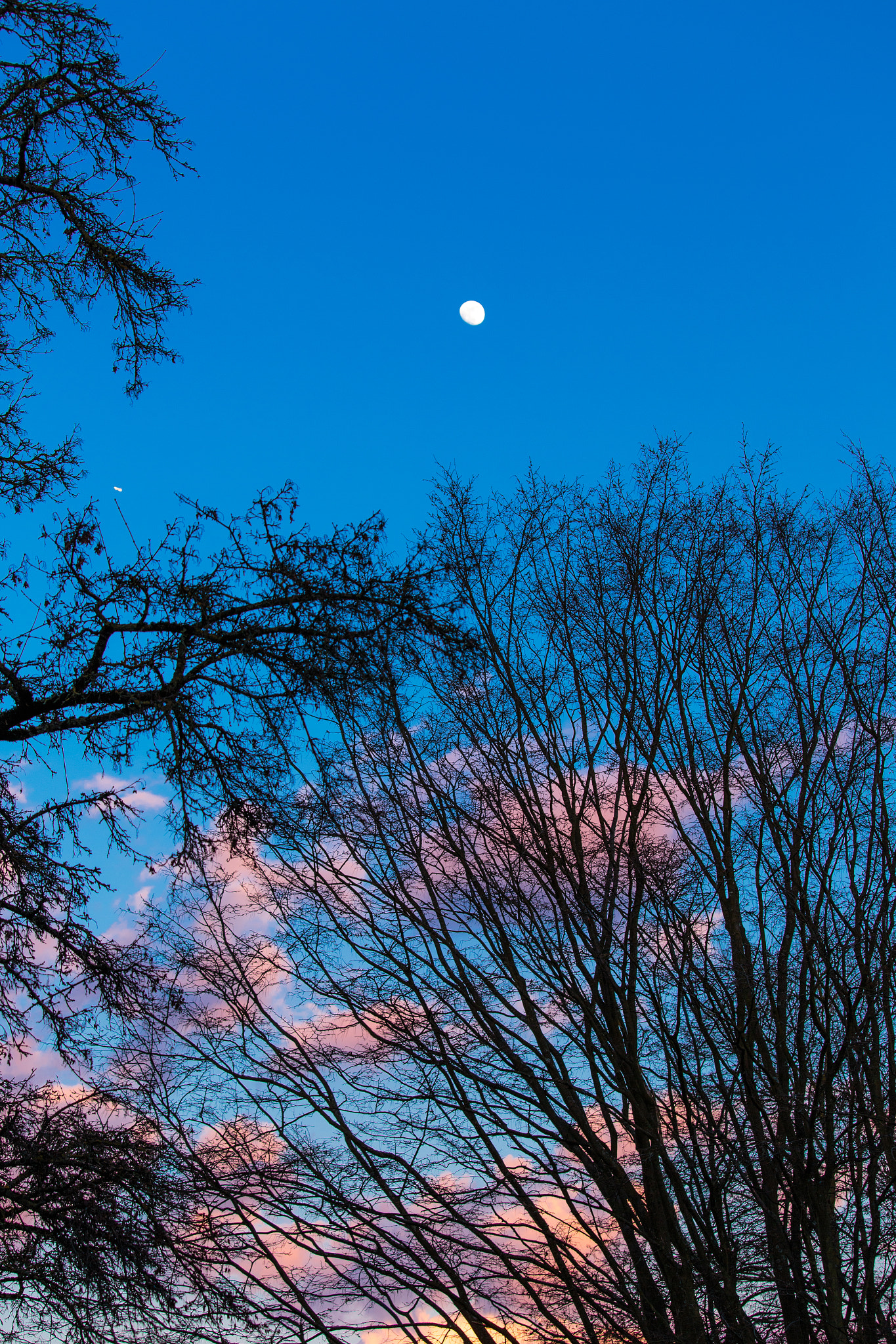 Canon EOS 6D + Canon EF 70-200mm F4L IS USM sample photo. It is evening photography