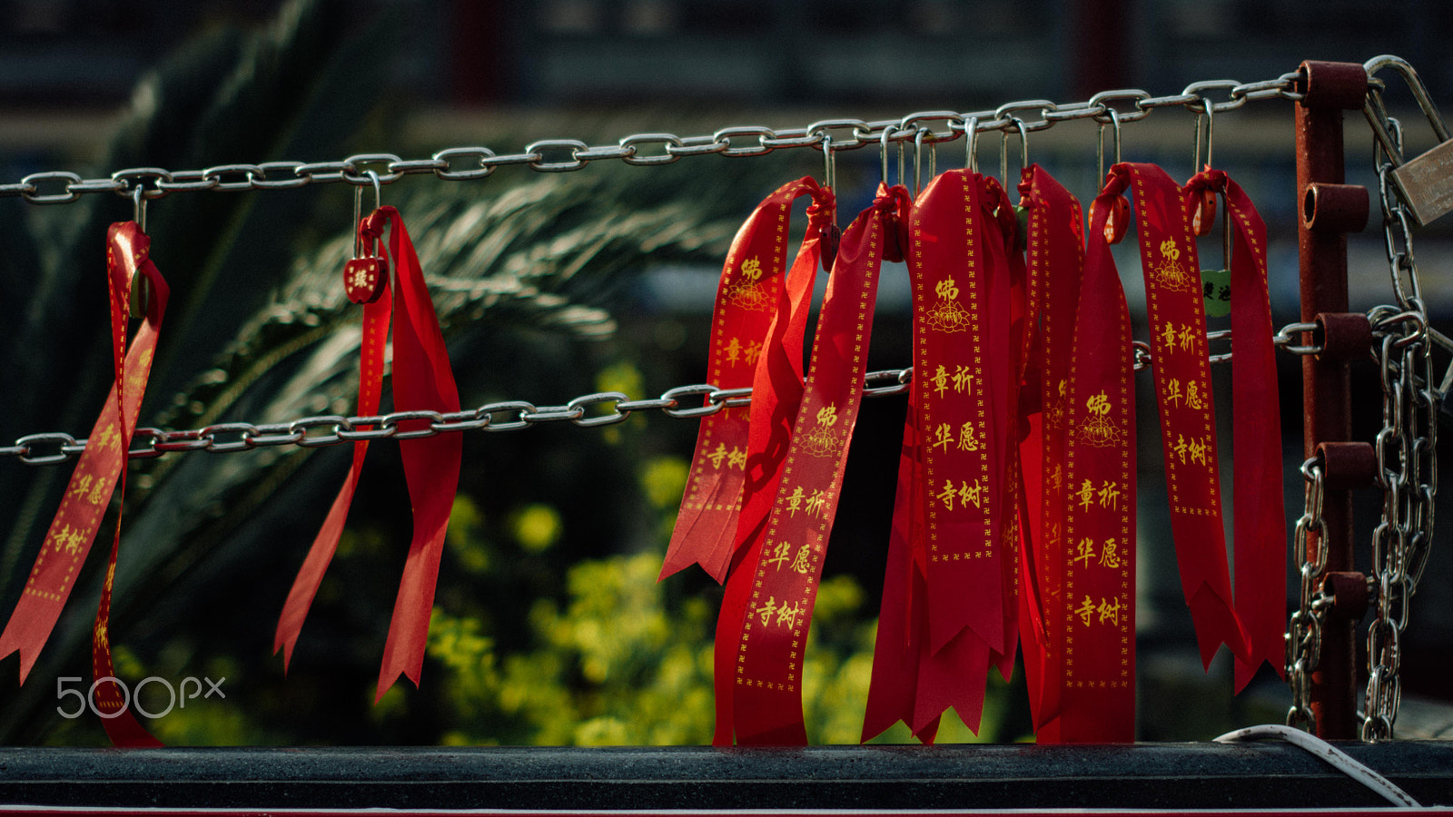 Nikon D7200 sample photo. The zhang hua temple photography