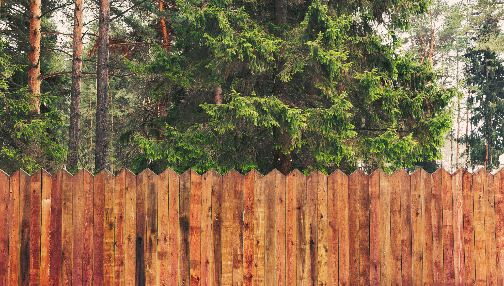 Canon EF-S 24mm F2.8 STM sample photo. Wood on wooden photography