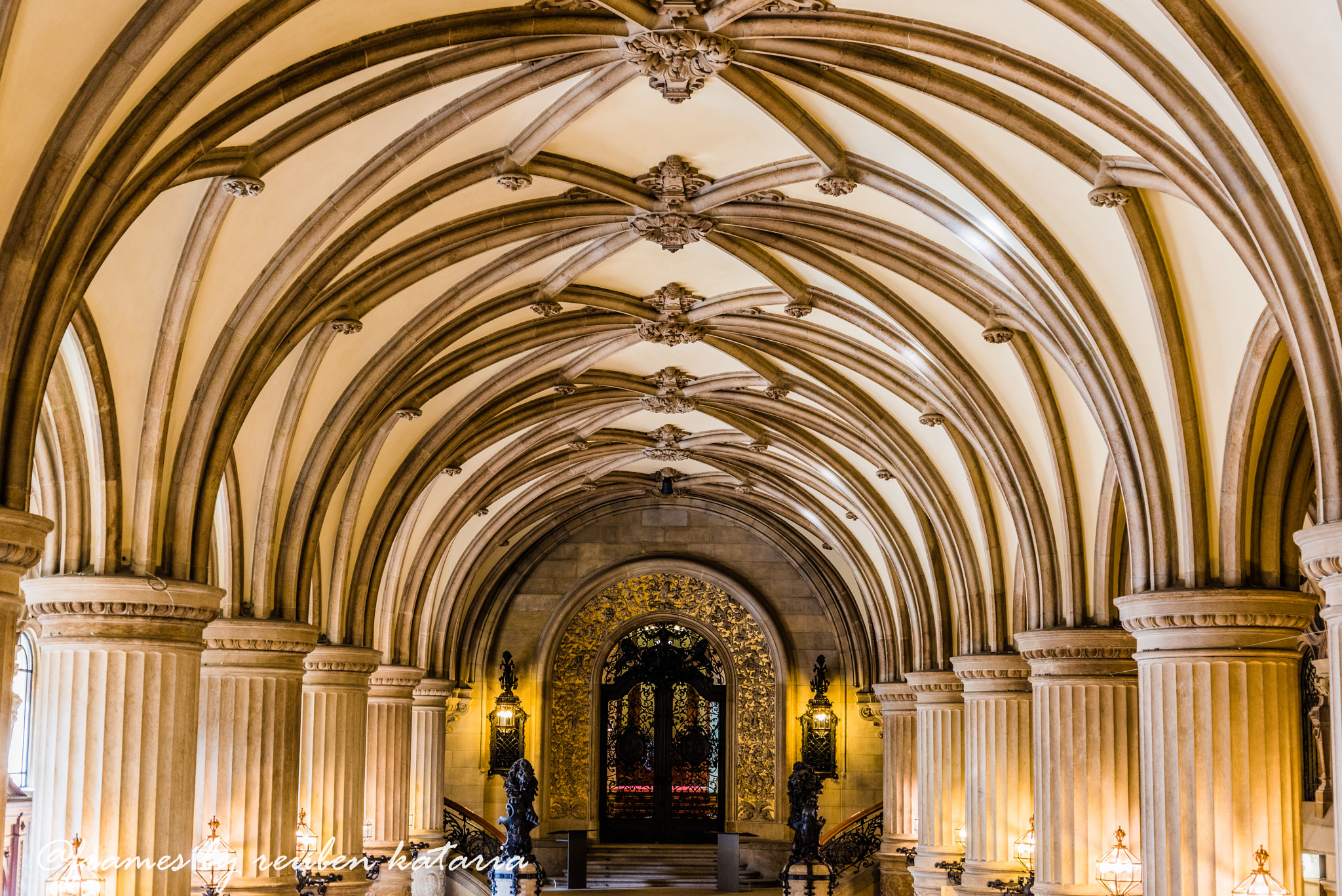 Nikon D810 sample photo. Town hall hamburg interiors photography
