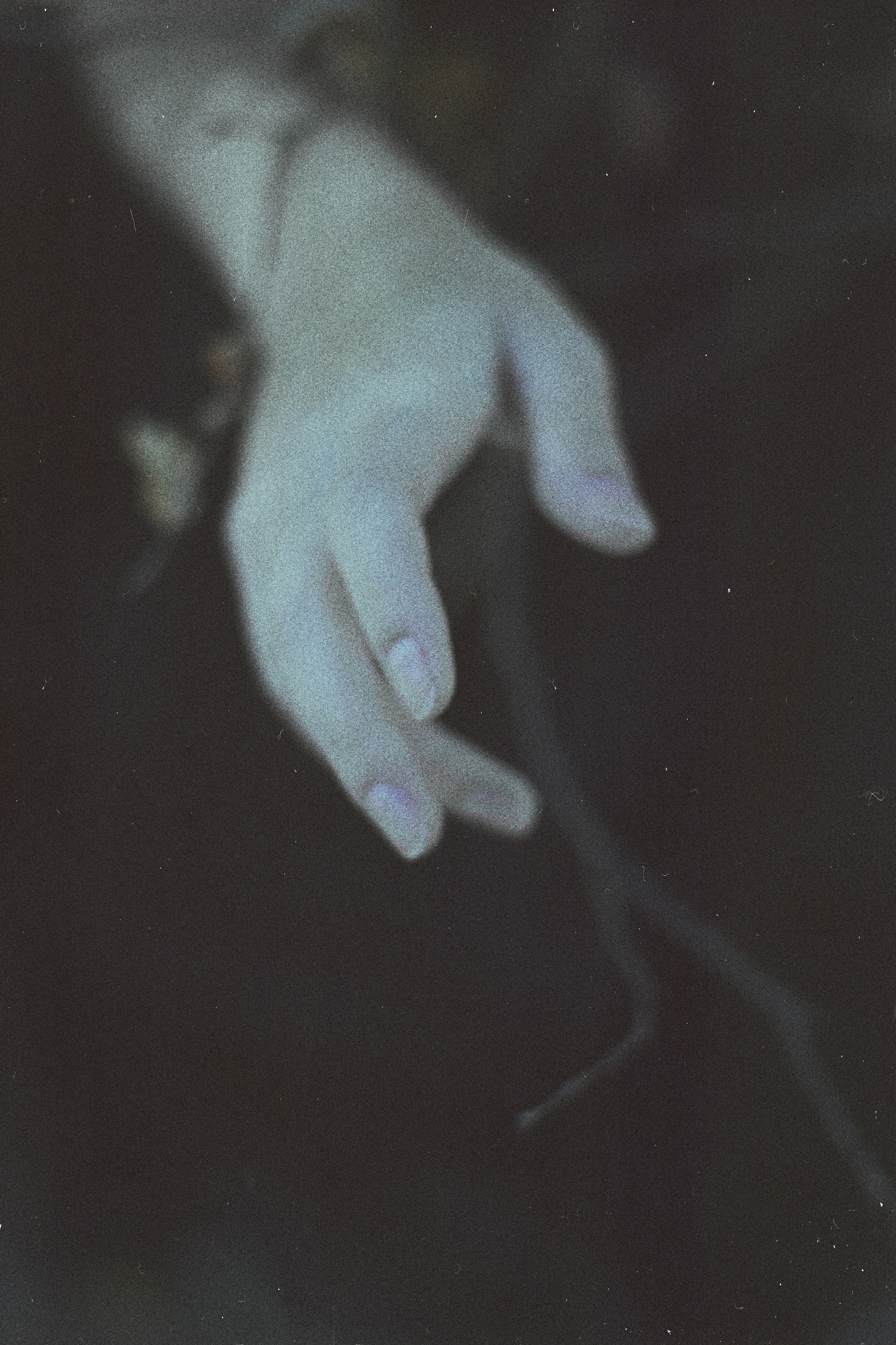 Canon EOS 650D (EOS Rebel T4i / EOS Kiss X6i) + Canon EF 50mm F1.8 II sample photo. The ghostly hand of autumn photography