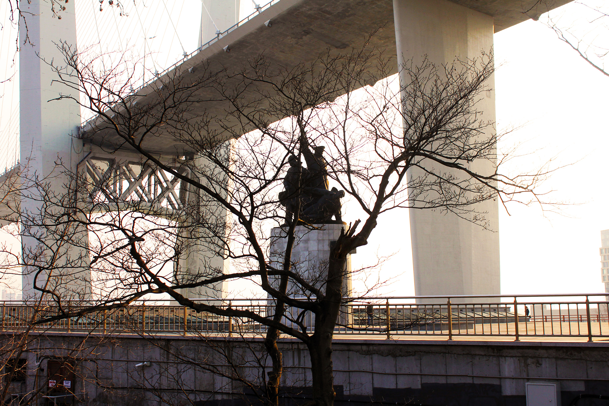 Canon EF-S 18-55mm F3.5-5.6 IS sample photo