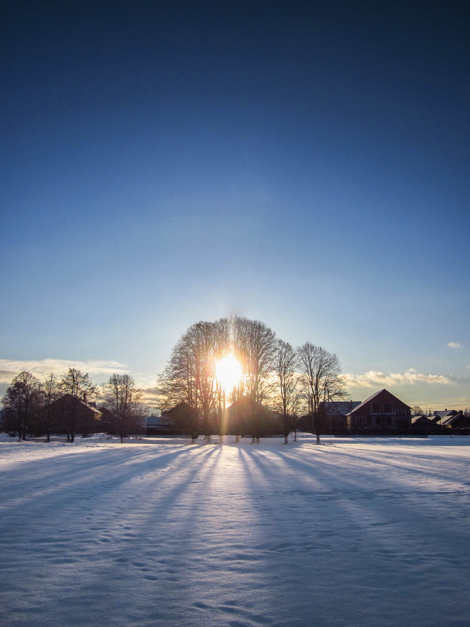 Canon PowerShot A1200 sample photo. Winter sun photography