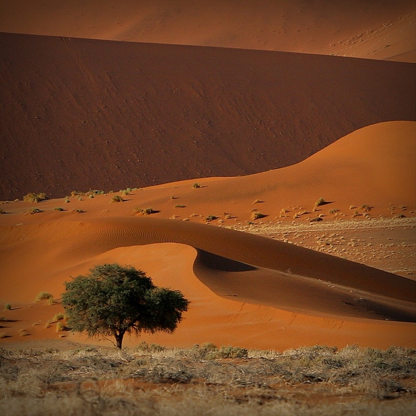 Canon EF 70-200mm F2.8L IS USM sample photo. Namibia photography