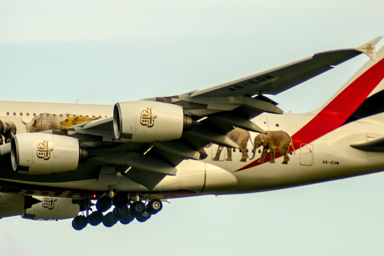 Nikon D3100 + Tamron SP 70-300mm F4-5.6 Di VC USD sample photo. Emirates  airbus a380-861 - a6-eom photography