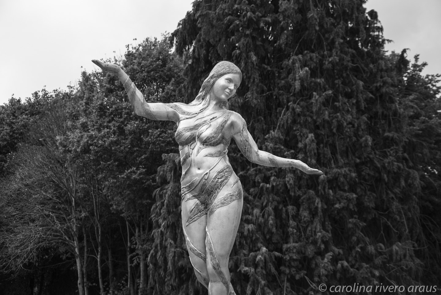 Nikon D80 sample photo. Pincoya  photography