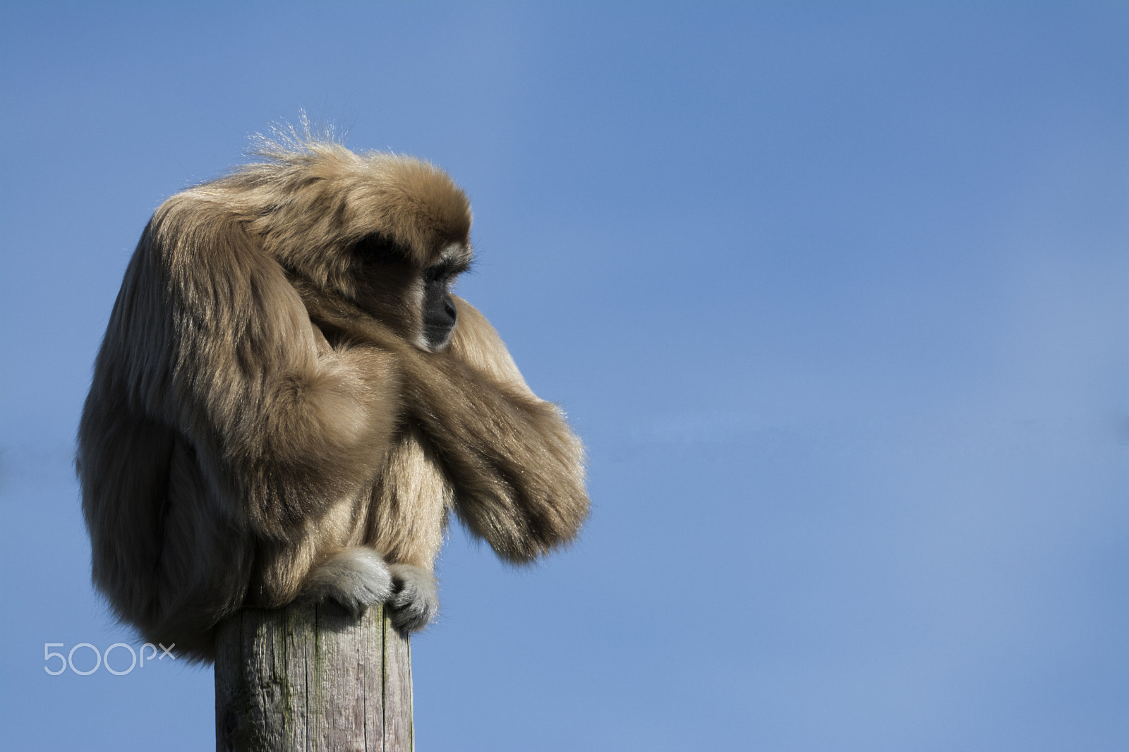 Sigma 150-600mm F5-6.3 DG OS HSM | S sample photo. When you reach a dead end ... photography