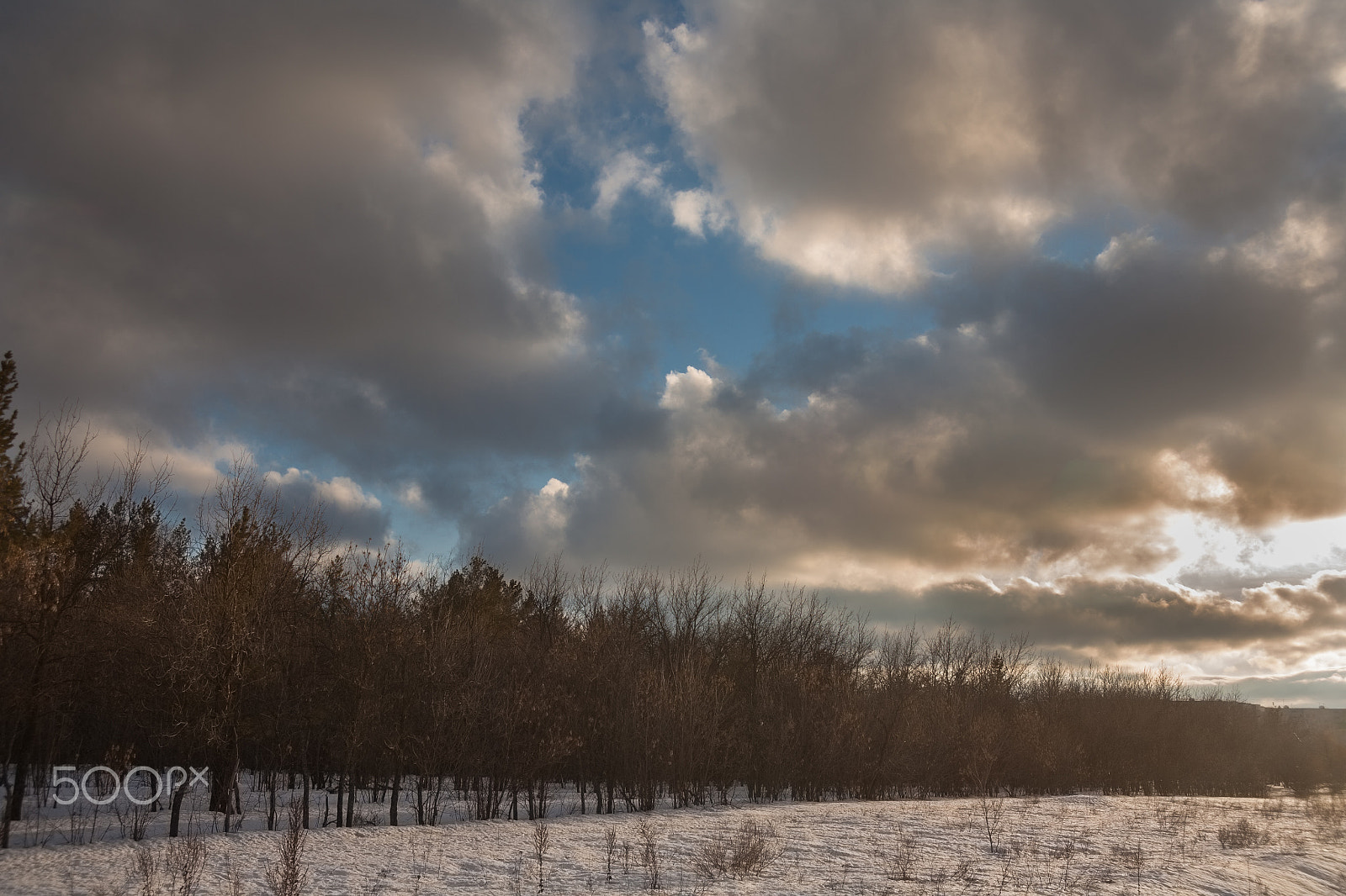 Canon EF 35-105mm f/3.5-4.5 sample photo. Nature photography