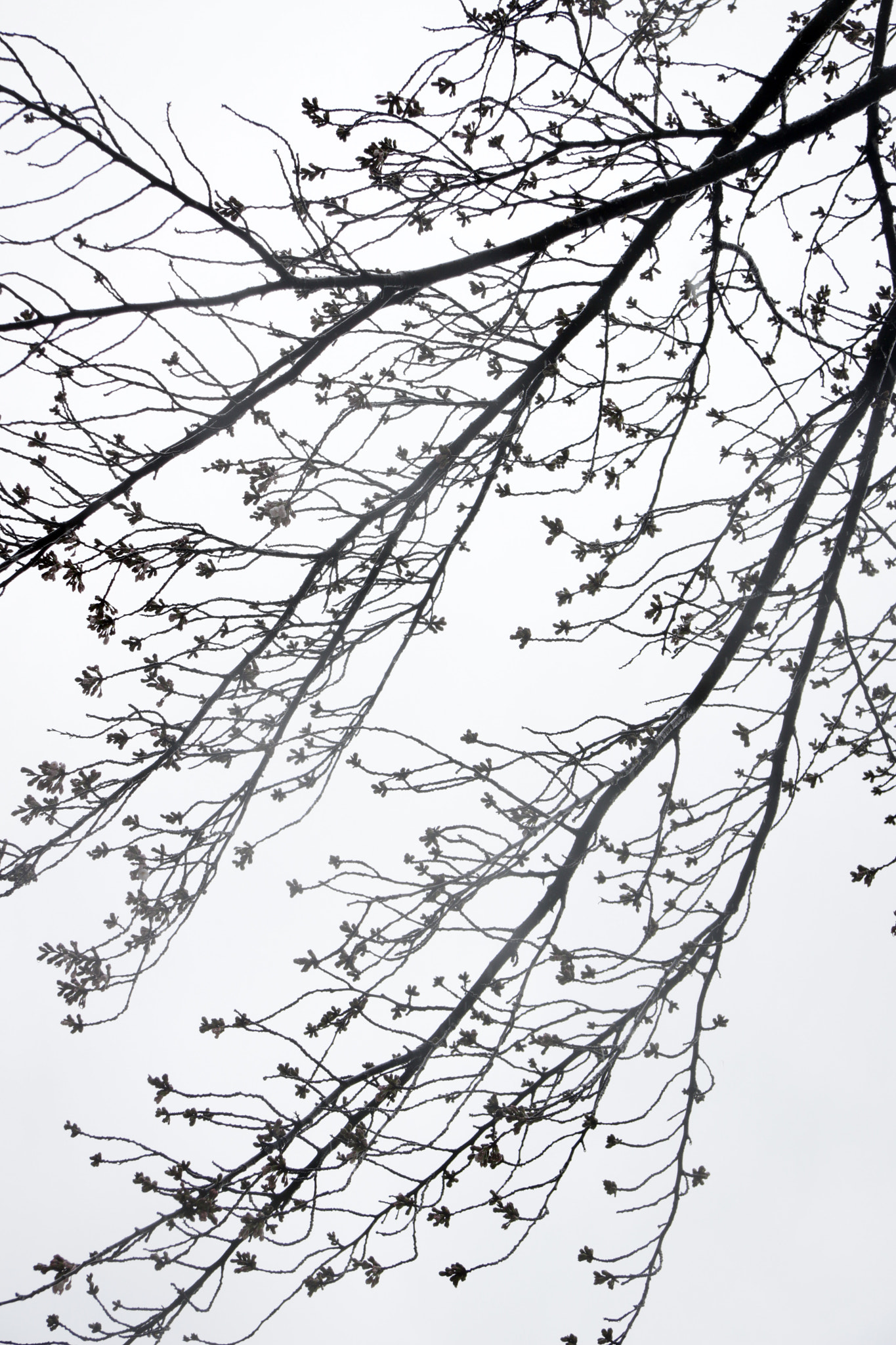 Canon EF-S 17-85mm F4-5.6 IS USM sample photo