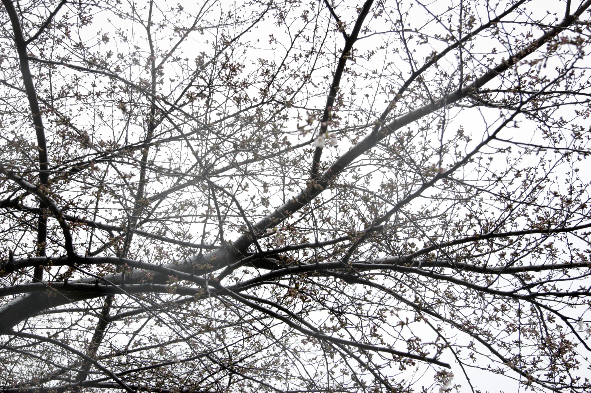Canon EF-S 17-85mm F4-5.6 IS USM sample photo