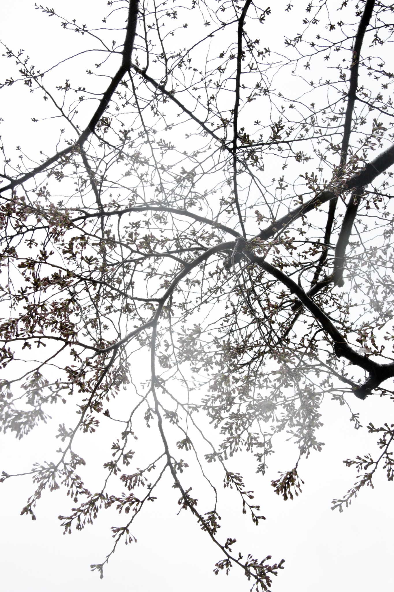 Canon EF-S 17-85mm F4-5.6 IS USM sample photo