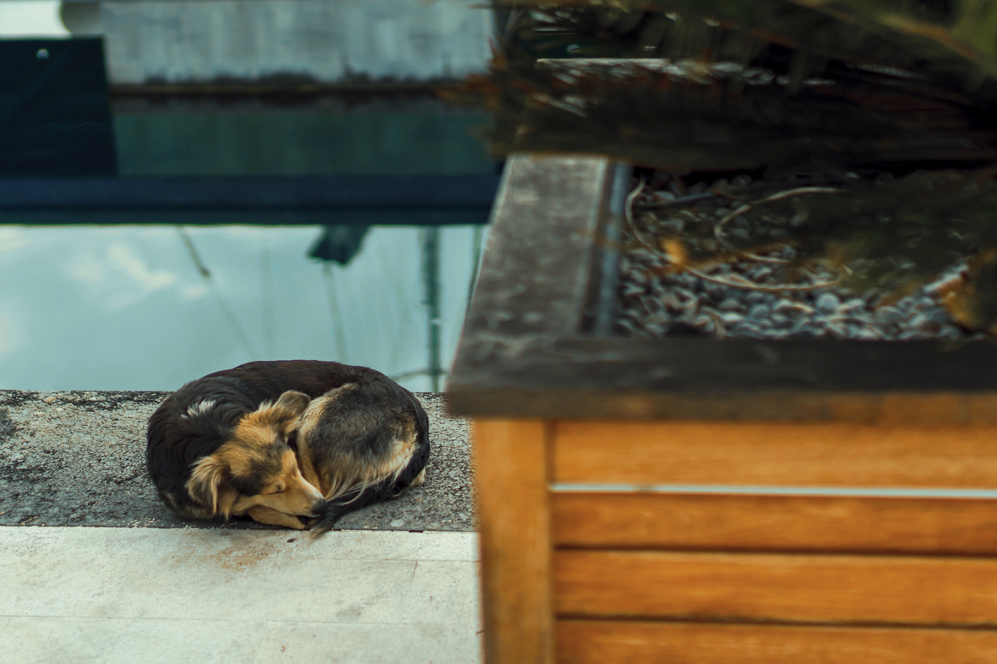 E 50mm F1.4 sample photo. Nap time by the docks. photography