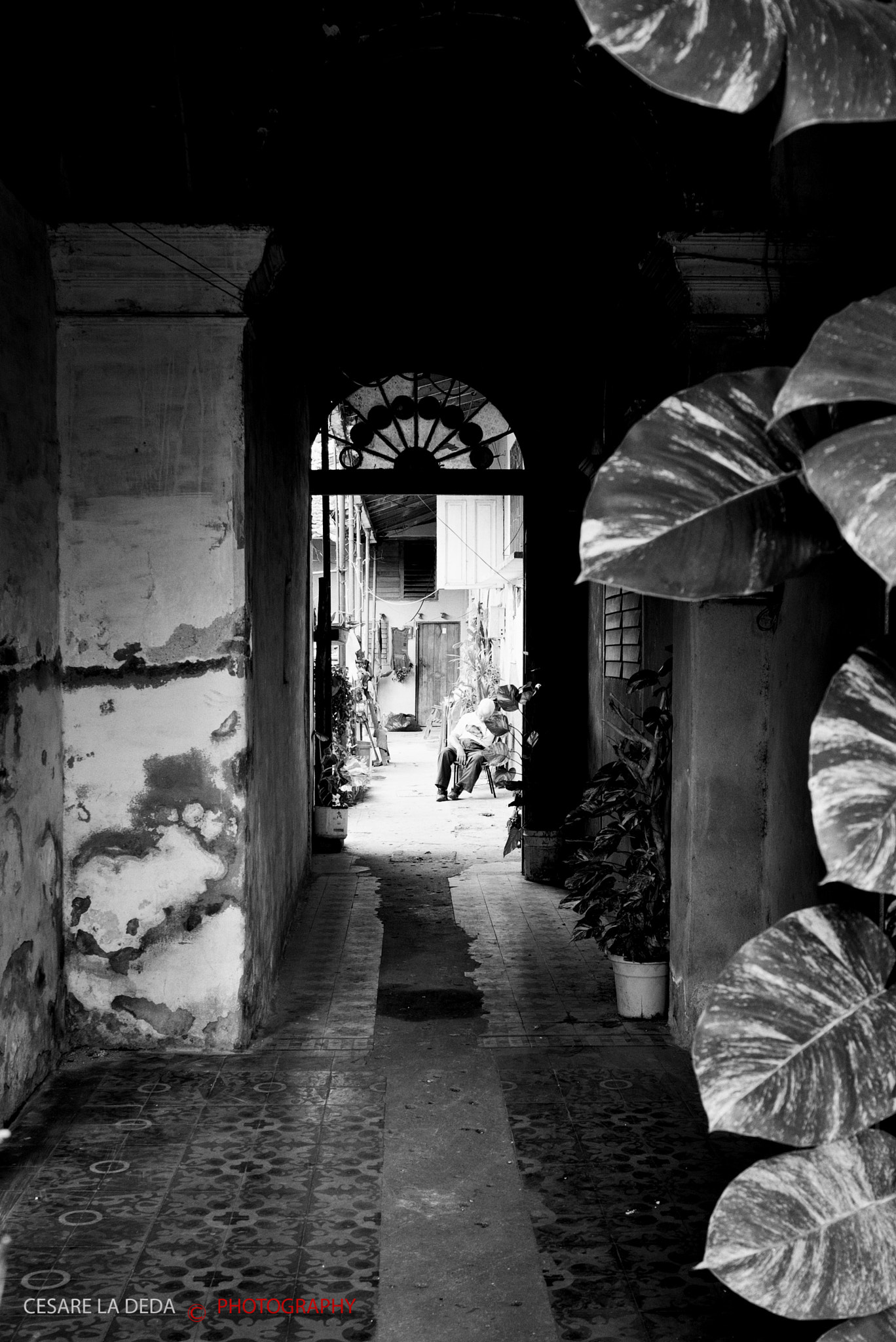 Leica Super-Elmar-M 21mm F3.4 ASPH sample photo. Revolutionaries sweet dreams photography